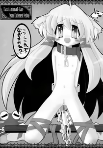 Page 45 of Touhou Kemomimi Hatsujousai - preview thumbnail