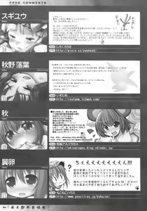 Page 81 of Touhou Kemomimi Hatsujousai - preview thumbnail
