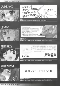 Page 83 of Touhou Kemomimi Hatsujousai - preview thumbnail