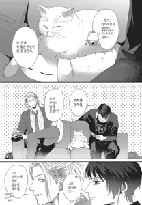 Page 116 of Shima-chan Chi no Tsugai Jijou vol 1 - preview thumbnail