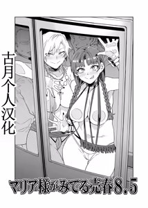 Maria-Sama ga Miteru Baishun 8.5 — hentai manga cover on Fhentai