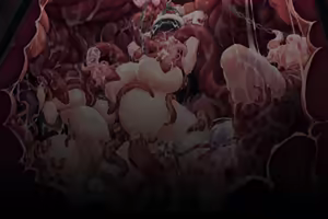 Page 78 of ALLENES (decensored) - preview thumbnail
