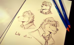 Page 66 of Year of 2016  Miscellaneous Art Pack - preview thumbnail
