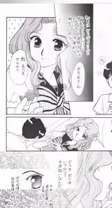Page 12 of SAI - preview thumbnail