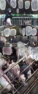 A daughter who came to her parents' workplace for a small errand — hentai manga cover on Fhentai