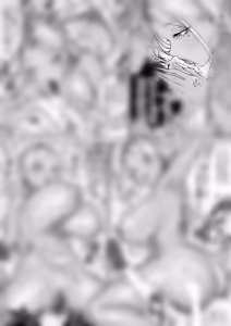 Page 89 of Nagi Hikaru - preview thumbnail