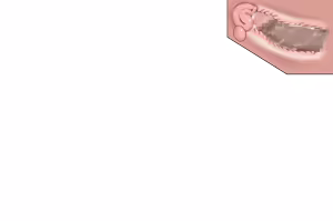 Page 219 of Lusty Dungeon - preview thumbnail