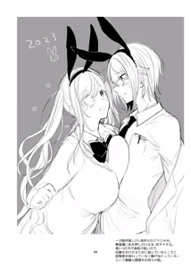 Page 33 of 新規キャンバス略3 - preview thumbnail
