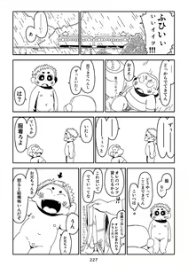 Page 227 of Pantograph - preview thumbnail