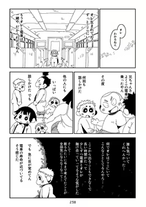 Page 238 of Pantograph - preview thumbnail