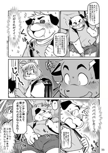 Page 33 of Pantograph - preview thumbnail