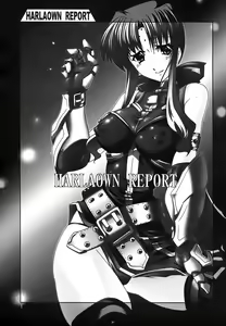 Page 3 of HARLAOWN REPORT - preview thumbnail