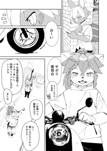 Page 3 of Deidorimuesukepu - preview thumbnail