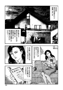 Page 27 of Seijuu Fujin - preview thumbnail