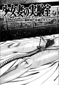 Page 411 of Syoujozuma Kutujoku no Ijoutaiken - preview thumbnail