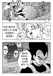 Page 22 of Bulma ga Chikyuu o Sukuu! | 부르마가 지구를 구한다! (decensored) - preview thumbnail