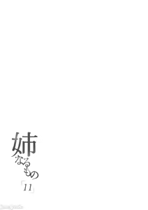 Page 309 of 姉なるもの - preview thumbnail
