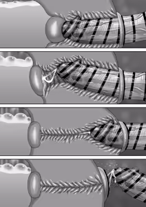 Page 77 of Fushi Katei de o Chinpo Case to shite Sodate rareta Musume no 1-nichi Routine - preview thumbnail