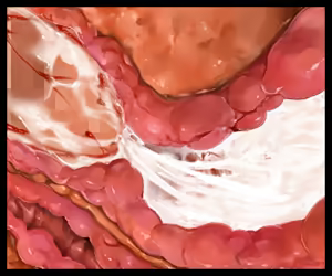 Page 266 of Inaka-gurashi Harem ~Kyonyuu na Inaka Musume-tachi to Hitasura Haramase Sex Suru Dake no Seikatsu~ - preview thumbnail