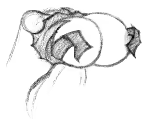Page 336 of Jinnsart sketches - preview thumbnail