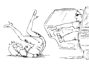 Page 288 of Sketches - preview thumbnail