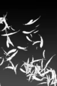 Page 147 of Niku Vacuum - preview thumbnail