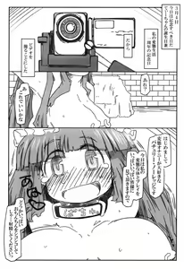 Page 10 of Hentai Patchouli no Jiko Choukyou Nisshi - preview thumbnail