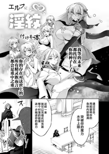 Page 25 of Elf ni Inmon o Tsukeru Hon LEVEL:8 - preview thumbnail