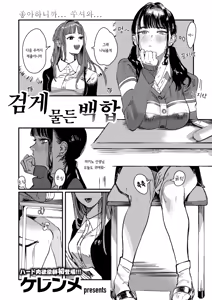 Kurozome no Yuri | 검게 물든 백합 — hentai manga cover on Fhentai