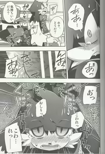 Page 20 of The twins solar - preview thumbnail