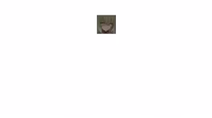 Page 327 of 女祭司之眼 - preview thumbnail
