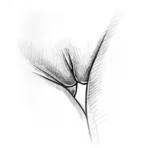 Page 166 of instagram collection - preview thumbnail