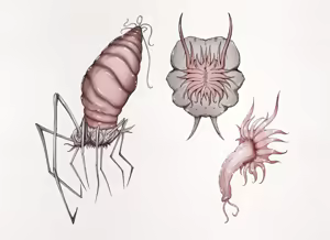Page 5 of Insect Research Report No.25 | 벌레 연구 보고서 No.25 - preview thumbnail