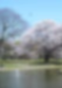 Page 336 of Four Seasons FINAL - preview thumbnail