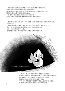 Page 3 of sIudged  room - preview thumbnail