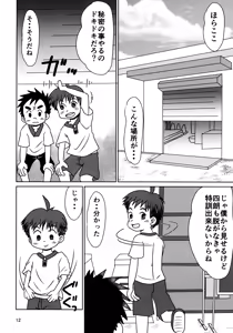 Page 11 of Hitomi Collect 2 - preview thumbnail