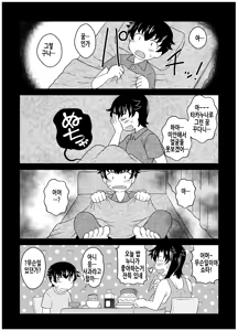 Page 17 of Anetorare _Boku no Daisuki na Onee-chan ga Aitsu ni Ubawareta Hanashi extended version | 누나토라레 ~내가 좋아하는 누나를 그녀석에게 빼앗긴 이야기~ 증량판 - preview thumbnail