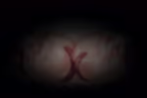 Page 38 of 苗床化体験 - preview thumbnail