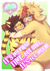 Hajimete nanoni shigeki ga tsuyosugiru|虽说是第一次，但还是有点过了！dwjzr个人汉化 — hentai manga cover on Fhentai