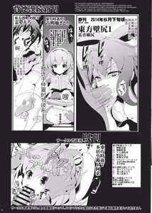 Page 16 of Touhou Jikan 9 Toyosatomimi no Miko - preview thumbnail