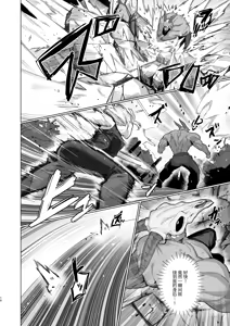 Page 9 of VALKITSCH - preview thumbnail