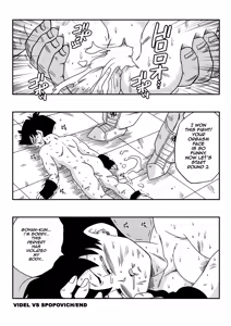 Page 20 of VIDEL vs SPOPOVICH - preview thumbnail