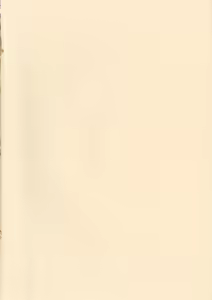 Page 4 of Touhou Shoujo - preview thumbnail
