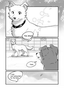 Page 4 of I've Turned Into a Dog, So I Play With Dogs, Right? - preview thumbnail