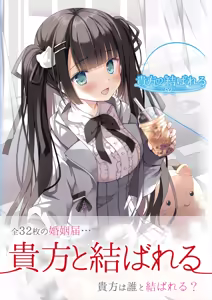 Theme-Wake Gashuu 17 "Anata to Musubareru ~Before Marriage, After Marriage~" — hentai manga cover on Fhentai
