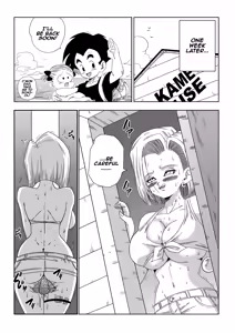 Page 29 of Android 18 vs. Master Roshi - preview thumbnail