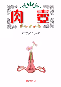 Nikutsubo - hentai manga cover image