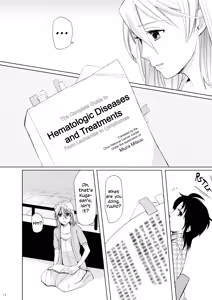 Page 13 of Meteora - preview thumbnail