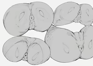 Page 329 of Oltlo (おるとろ) PART2 - preview thumbnail