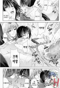 Page 52 of ERO CARTE - preview thumbnail